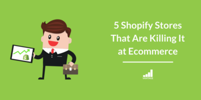 shopify stores killing it at ecommerce